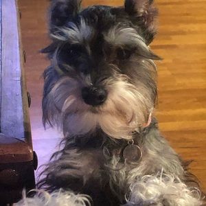 Meet your Posher, Shellie